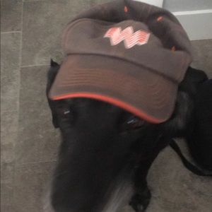 Meet your Posher, Oscar